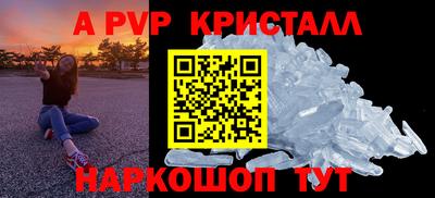 хмурый Тула