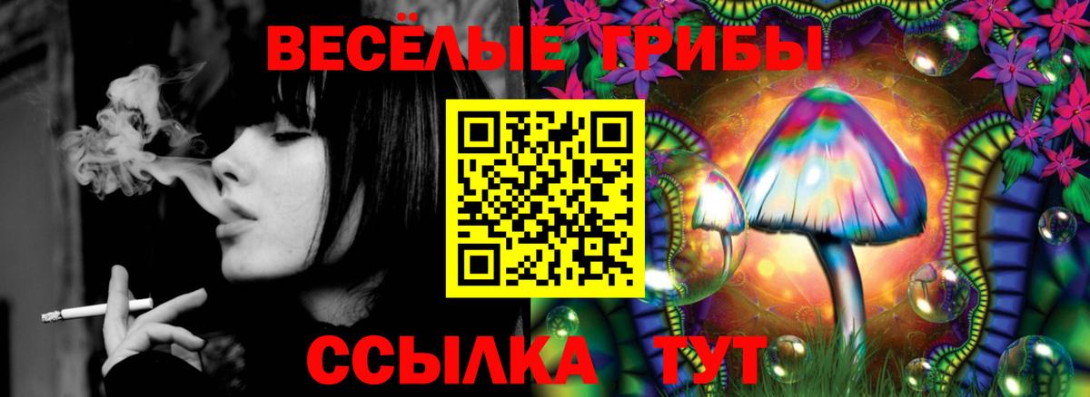 Великий Новгород  Псилоцибиновые грибы Psilocybine cubensis  Вход с VPN 
