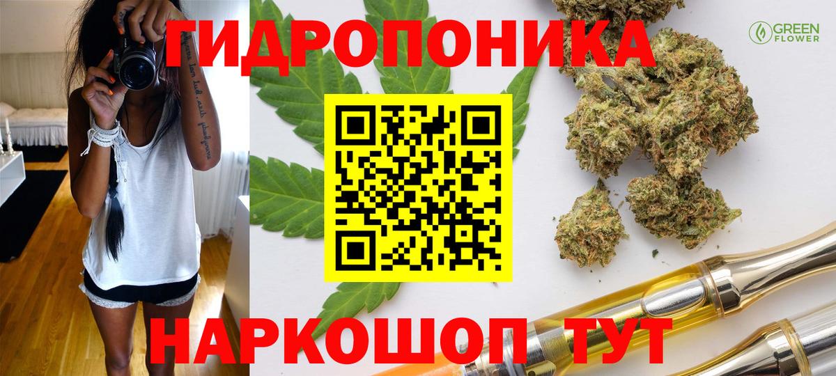 Каннабис индика Великий Новгород